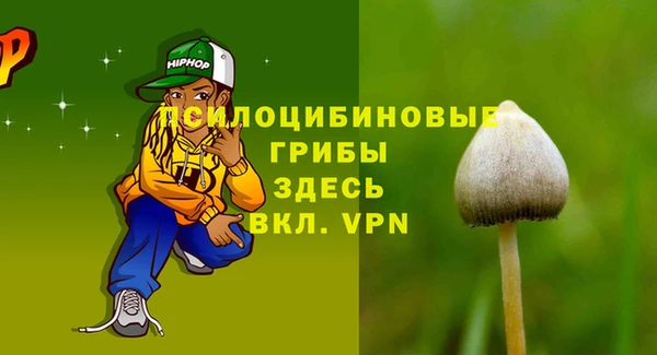 прущие крисы Протвино